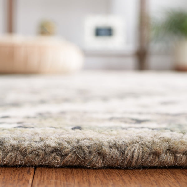 Safavieh Aspen 142 Hand Tufted 85% Wool/15% Cotton Bohemian Rug APN142A-8