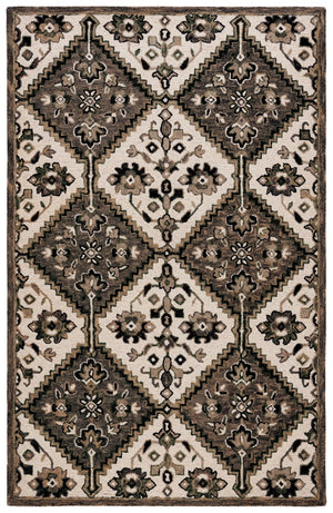 Safavieh Aspen 142 Hand Tufted 85% Wool/15% Cotton Bohemian Rug APN142A-8