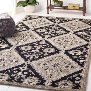 Safavieh Aspen 142 Hand Tufted 85% Wool/15% Cotton Bohemian Rug APN142Z-8