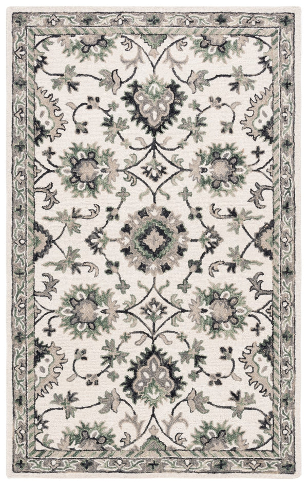 Safavieh Aspen 146 Hand Tufted 85% Wool/15% Cotton Bohemian Rug APN146A-8