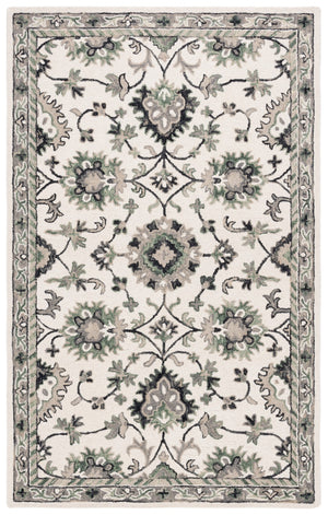 Safavieh Aspen 146 Hand Tufted 85% Wool/15% Cotton Bohemian Rug APN146A-8