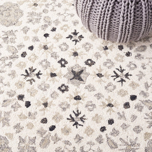 Safavieh Aspen 150 Hand Tufted 85% Wool/15% Cotton Bohemian Rug APN150A-8