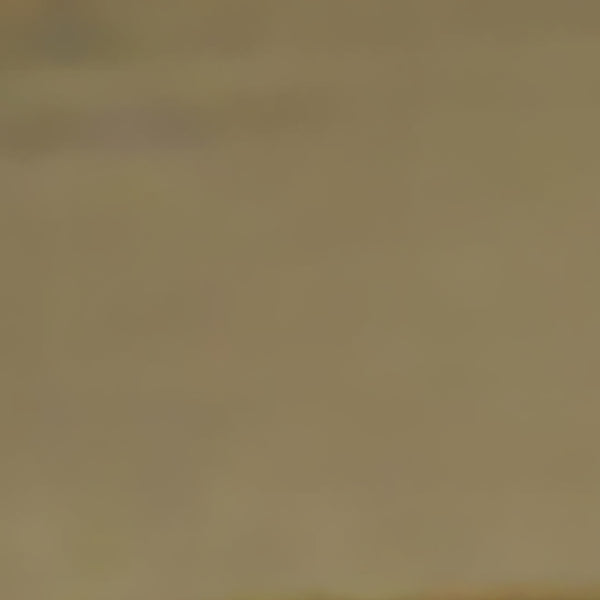 Dovetail Maz Round Marble and Brushed Brass Finish Side Table AQ111B