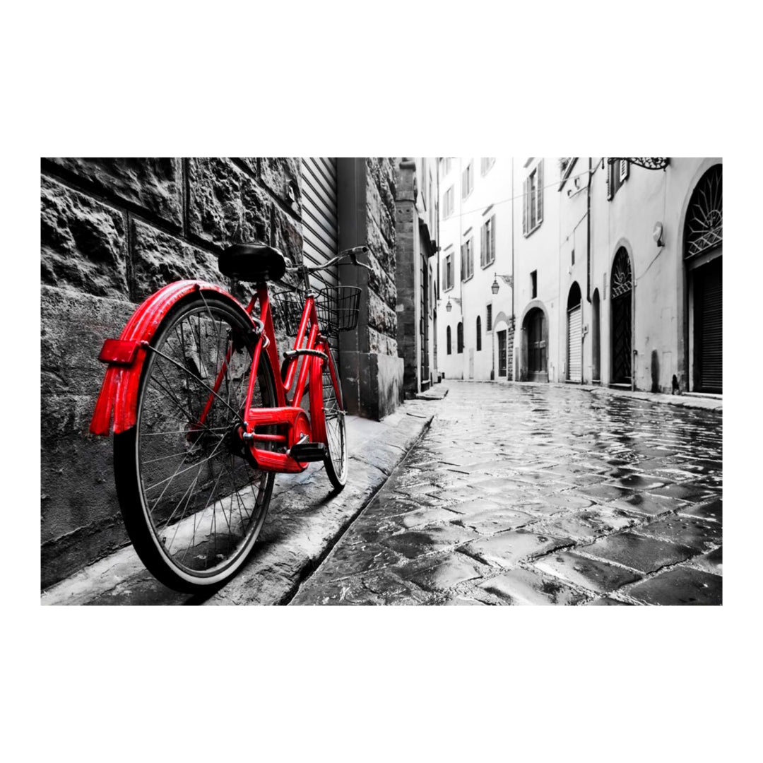 Yosemite Home Decor Bike - Thumbnail 2