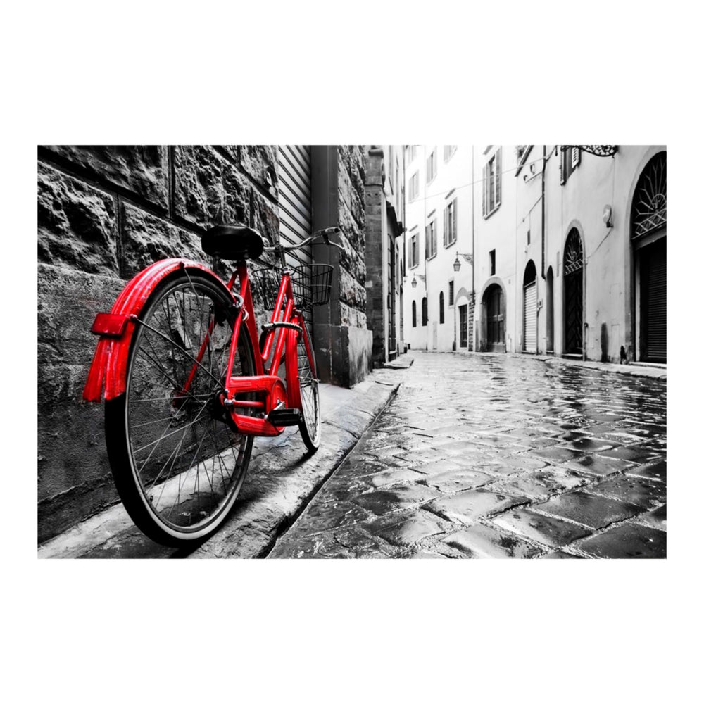 Yosemite Home Decor The Red Bike AR30336527-YHD