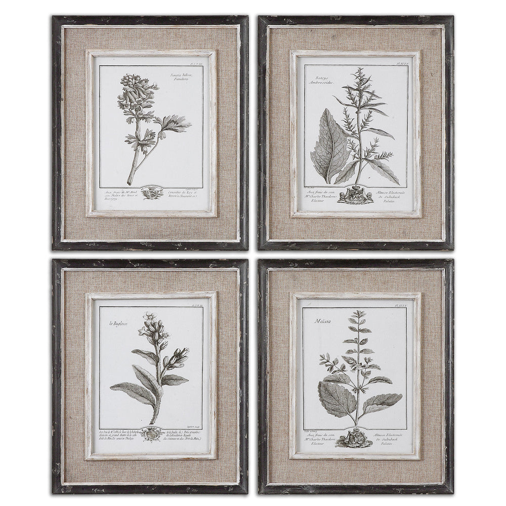 Uttermost Casual Grey Study Framed Art Set/4