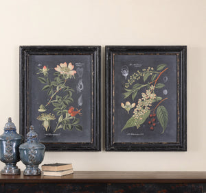 Uttermost Midnight Botanicals Wall Art Set of 2