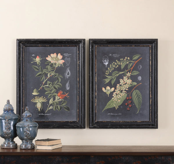 Uttermost Midnight Botanicals Wall Art Set of 2