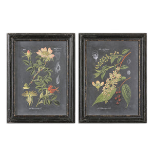 Uttermost Midnight Botanicals Wall Art Set of 2