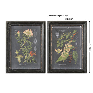 Uttermost Midnight Botanicals Wall Art Set of 2