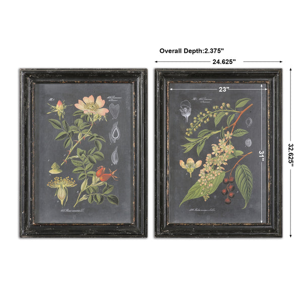 Uttermost Midnight Botanicals Wall Art Set of 2