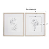 Uttermost Botanical Sketches Framed Prints Set of 2