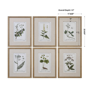 Uttermost Green Floral Botanical Study Prints Set of 6