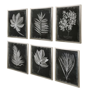 Uttermost Foliage Framed Prints - Set of 6