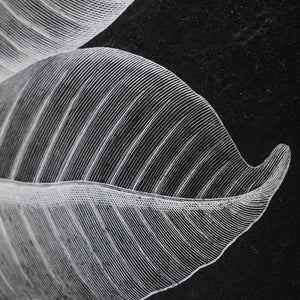 Uttermost Foliage Framed Prints - Set of 6