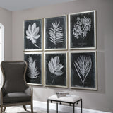 Uttermost Foliage Framed Prints - Set of 6