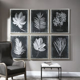 Uttermost Foliage Framed Prints - Set of 6