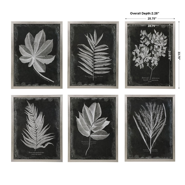 Uttermost Foliage Framed Prints - Set of 6