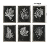 Uttermost Foliage Framed Prints - Set of 6