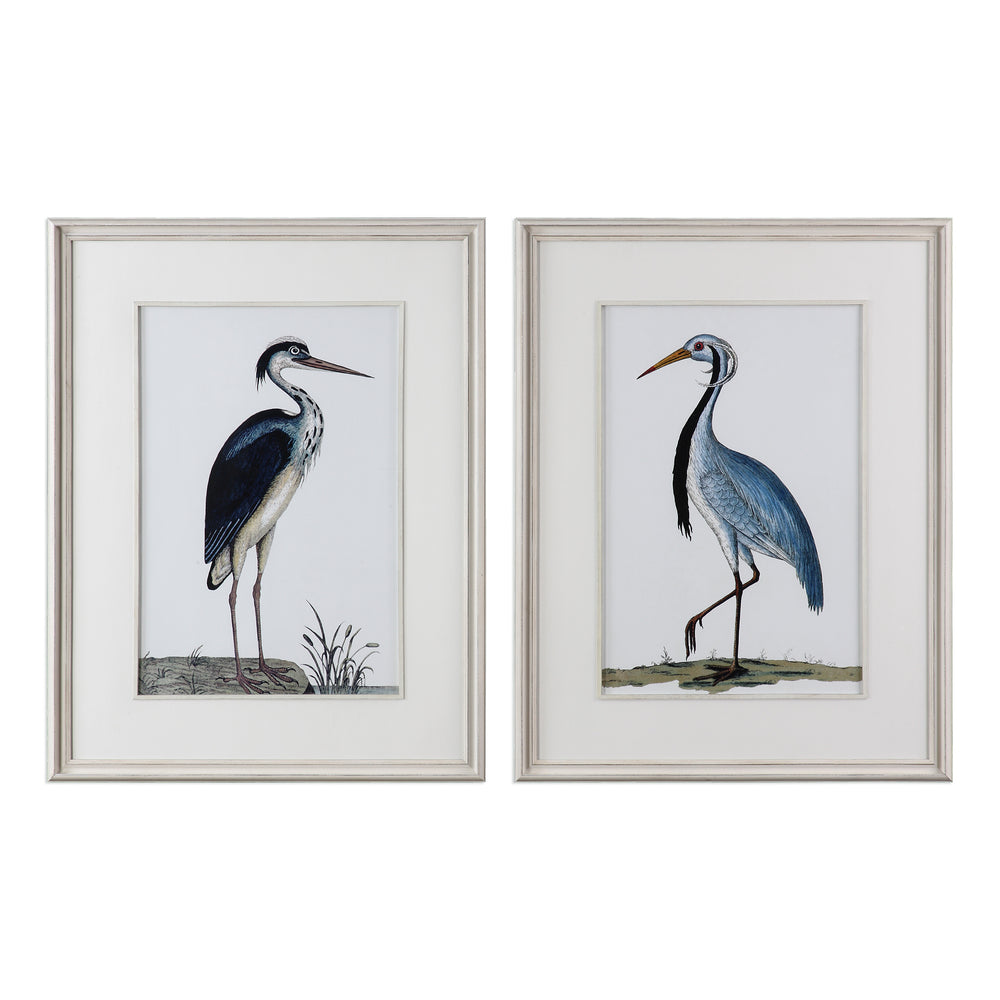 Uttermost Shore Birds Framed Prints Set of 2