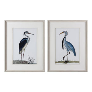 Uttermost Shore Birds Framed Prints Set of 2