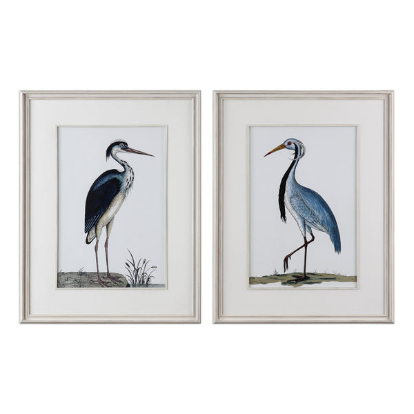Uttermost Shore Birds Framed Prints Set of 2