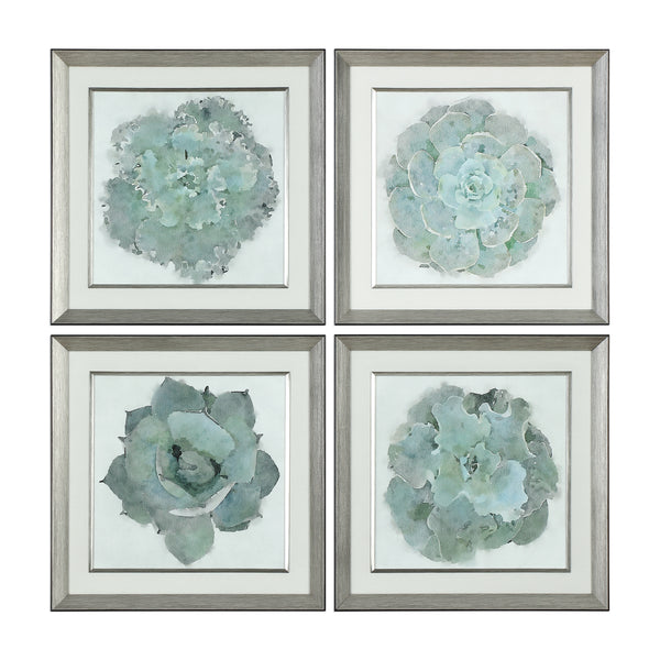 Uttermost Natural Beauties Botanical Prints Set of 4