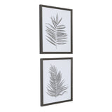 Uttermost Silver Ferns Framed Prints Set of 2