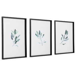 Uttermost Simple Sage Watercolor Prints - Set of 3