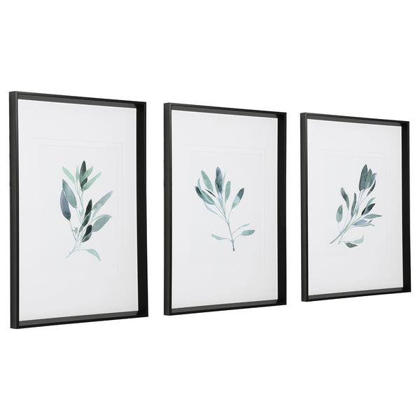 Uttermost Simple Sage Watercolor Prints - Set of 3