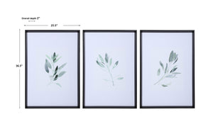 Uttermost Simple Sage Watercolor Prints - Set of 3