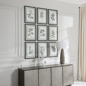 Uttermost Farmhouse Florals Framed Prints - S/9