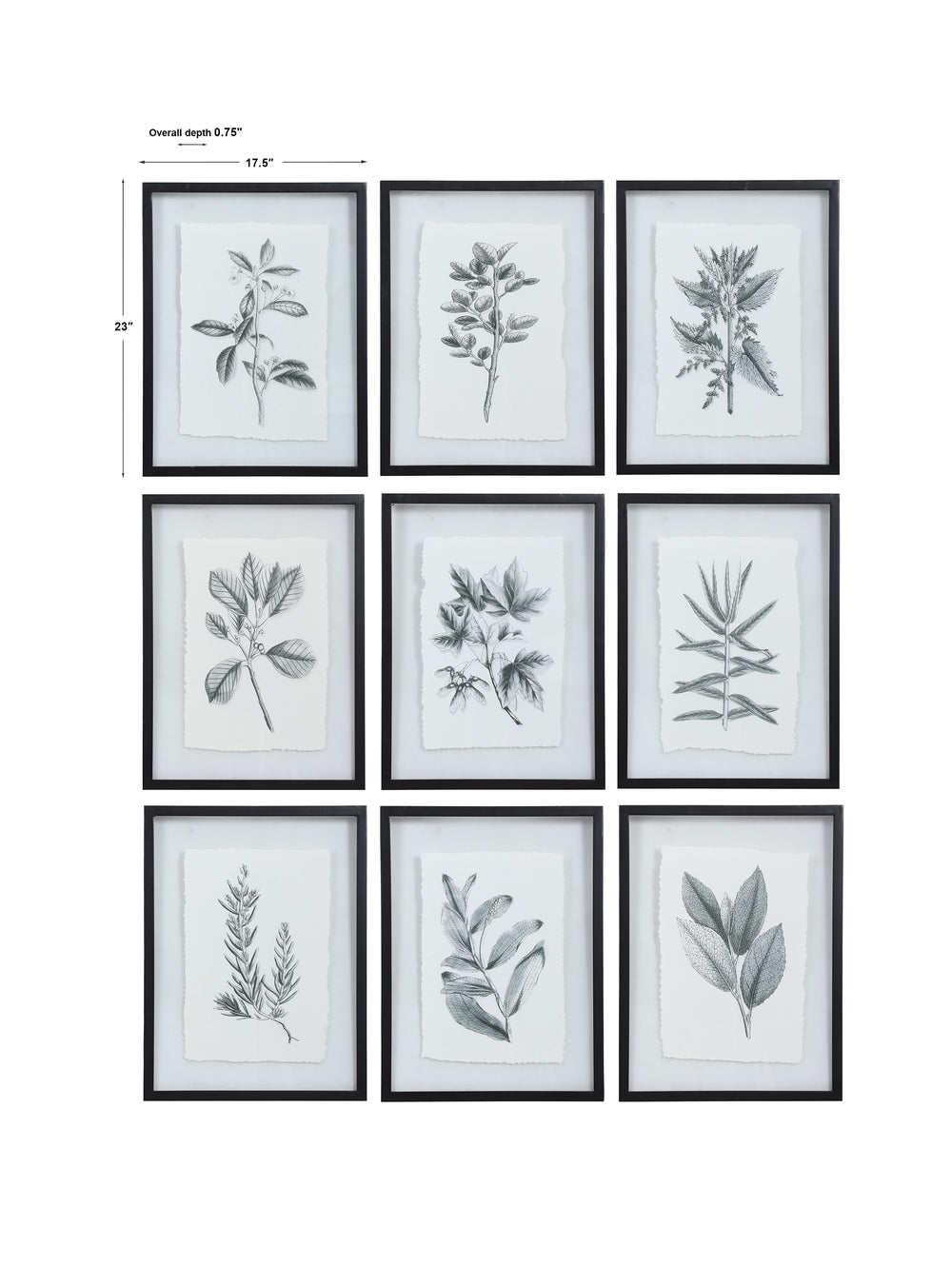 Uttermost Farmhouse Florals Framed Prints - S/9
