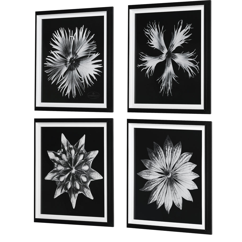Uttermost Contemporary Floret Framed Prints - Set of 4