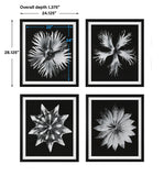Uttermost Contemporary Floret Framed Prints - Set of 4