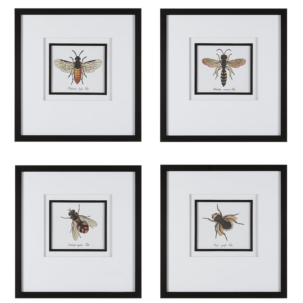 Uttermost Anthophila Framed Prints - Set of 4