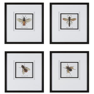 Uttermost Anthophila Framed Prints - Set of 4