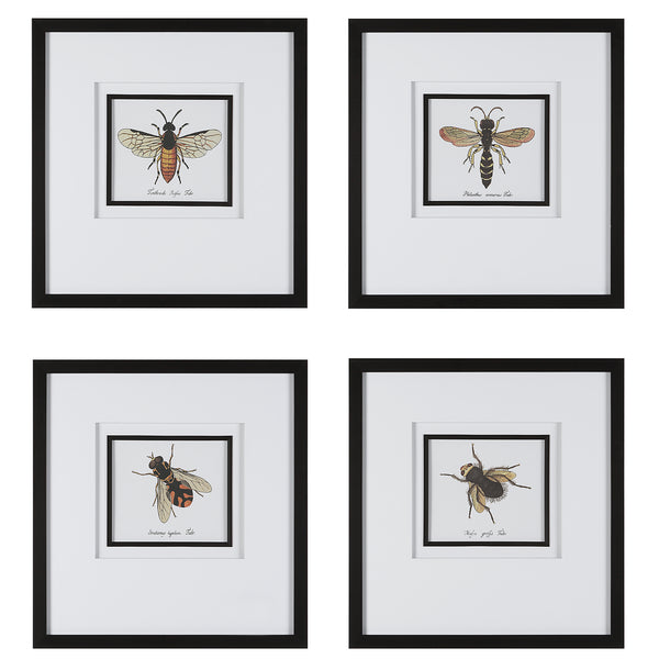 Uttermost Anthophila Framed Prints - Set of 4