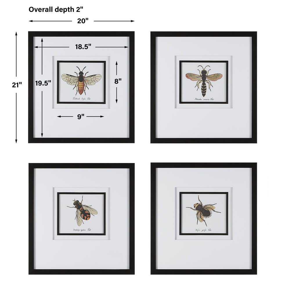 Uttermost Anthophila Framed Prints - Set of 4