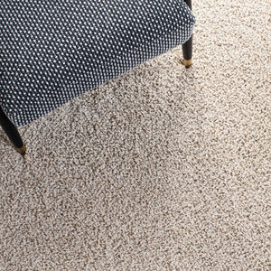 Safavieh Arizona Shag 820 Power Loomed 60% Polypropylene/35% Jute/5% Polyester Rug ASG820B-4