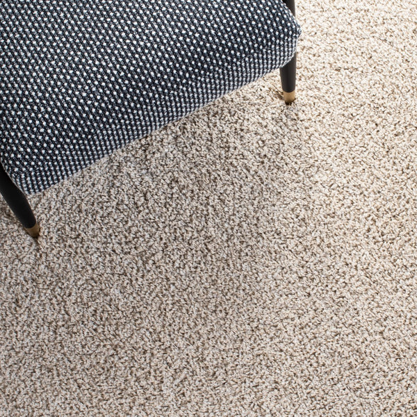 Safavieh Arizona Shag 820 Power Loomed 60% Polypropylene/35% Jute/5% Polyester Rug ASG820B-4