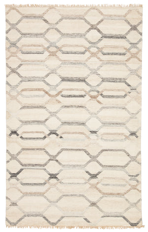 Jaipur Living Laveer Handmade Trellis Ivory/ Light Gray Area Rug (8'10"X11'9")