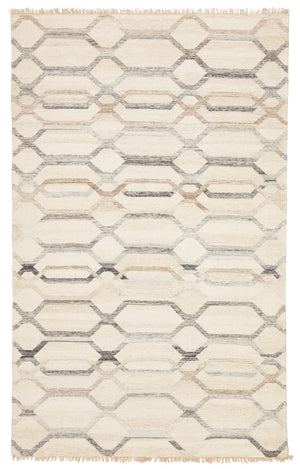 Jaipur Living Anatolia Laveer AT17 Handwoven Handmade Indoor Global Rug Ivory 6' x 9'