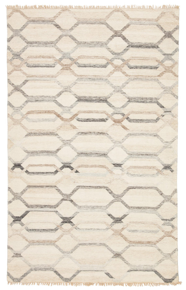 Jaipur Living Anatolia Laveer AT17 Handwoven Handmade Indoor Global Rug Ivory 6' x 9'