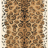 Safavieh Az143  Rug AZ143A-4R