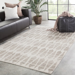 Jaipur Living Sabot Hand-Knotted Geometric Ivory/ Light Gray Area Rug (10'X14')