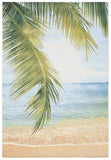 Barbados 500 Barbados 560 Outdoor Power Loomed 23% Polyester - 76% Polypropylene Rug