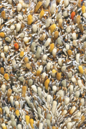 Brink & Campman Spring 059103  8719956827433