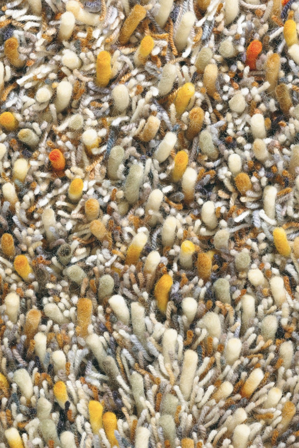 Brink & Campman Spring 059103  8719956827433