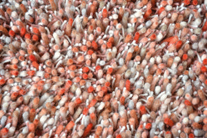 Brink & Campman Young 061802  8719956818547